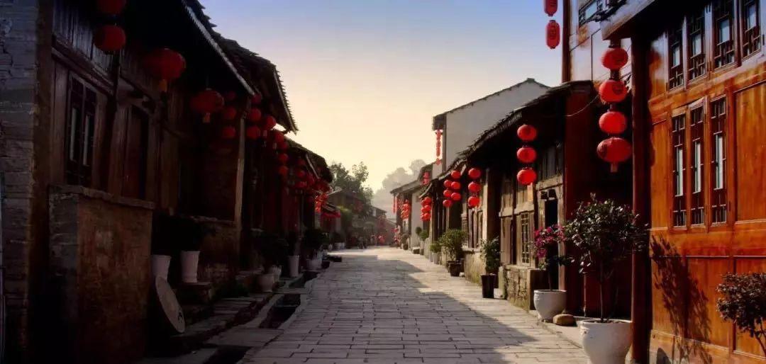 【社会服务】聚“微”力量  赋能“微”治理